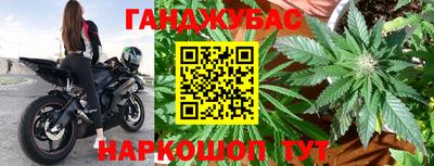 дмт Тула