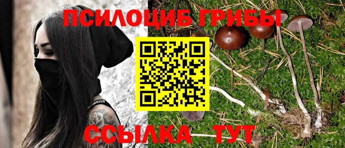 Галлюциногенные грибы мухоморы Азнакаево