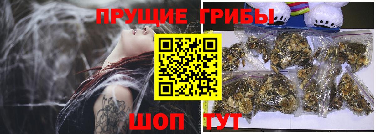 Псилоцибиновые грибы Cubensis  Вход с VPN  Азнакаево 